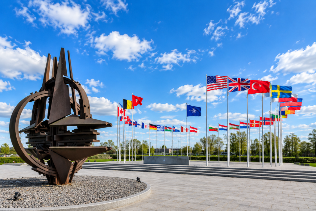 NATO Ally